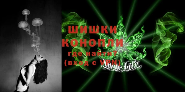 индика Покачи