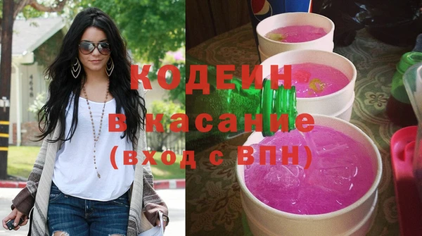 индика Покачи