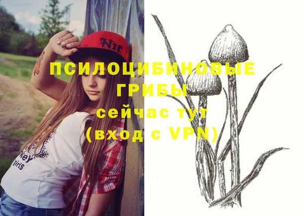 мет Абаза