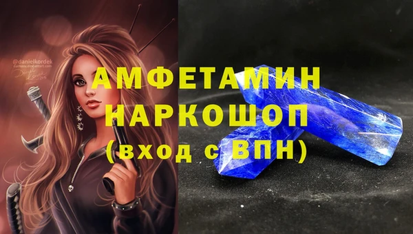 индика Покачи
