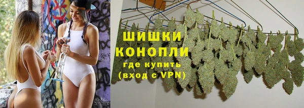индика Покачи