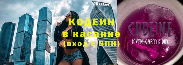 индика Покачи