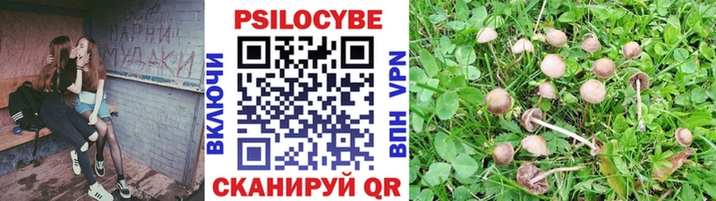 ссылка на мегу ТОР  Киренск  Псилоцибиновые грибы Cubensis 